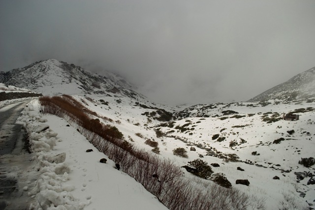 DSC_0440.jpg