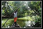 Best place to explore backwater and village life-red-1.jpg