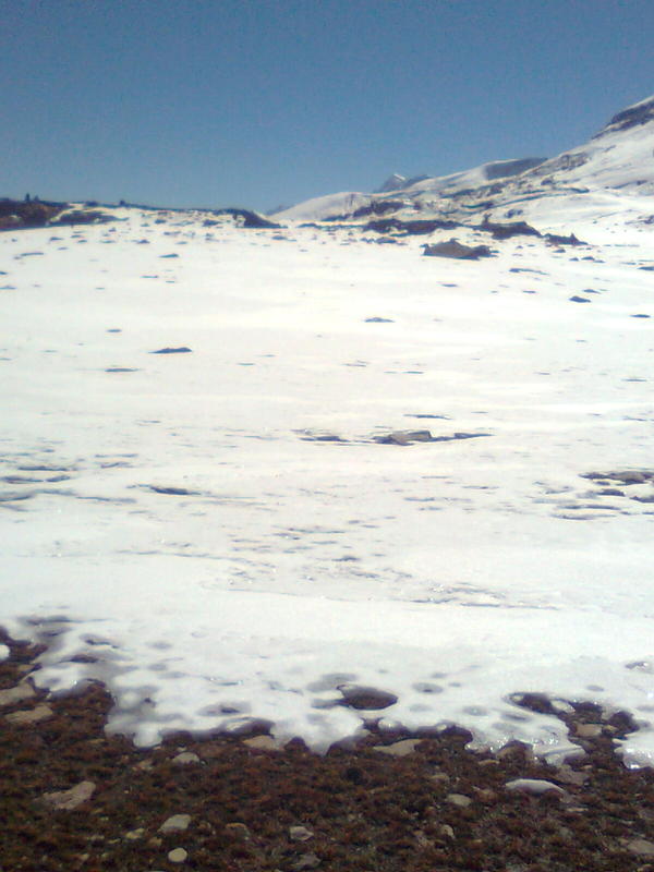 Bp glacier.jpg