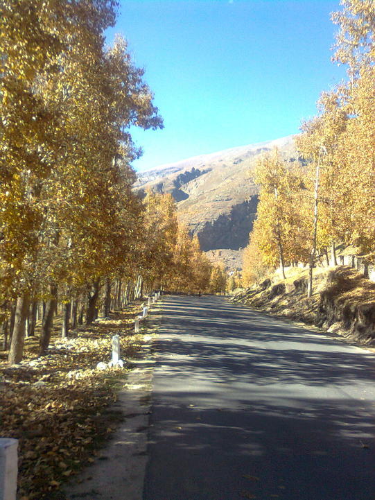 Keylong road.jpg