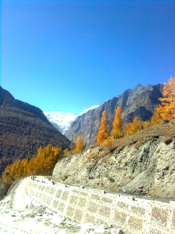 Image0175.jpg