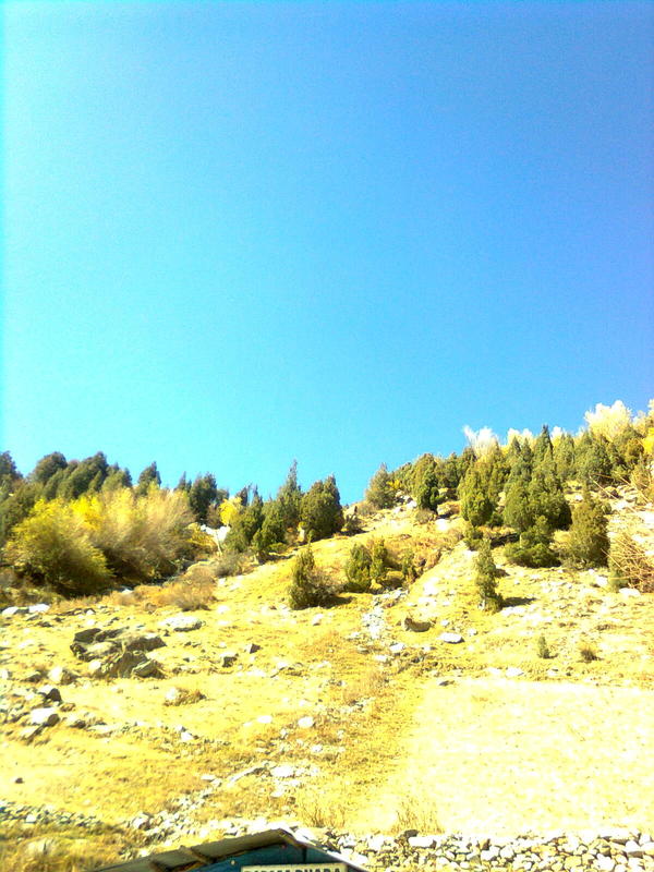 Nature.jpg