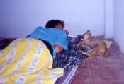 did-u-ever-had-an-animal-on-your-room-104-buongiorno-marzia-.jpg