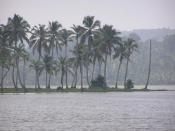 the-untapped-beauties-of-kerala-1-vellayanilake4im.jpg