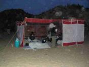 not-a-chance-in-india-buddy-pb180225.jpg