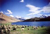 this-is-me-this-is-us-in-india-chander-img.jpg