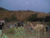 where-to-relax-in-rajasthan-pb180228.jpg