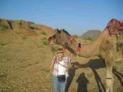where-to-relax-in-rajasthan-pb180224.jpg