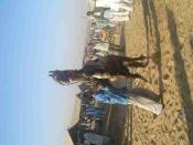 pushkar-camel-fair-pb190251.jpg