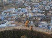 beautiful-bundi-pb210273.jpg