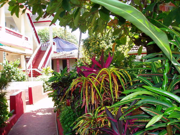 kochi 017.jpg