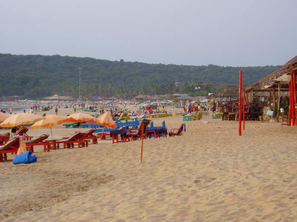 kerala 06 016.jpg