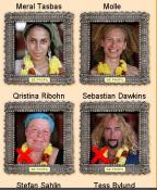 swedish-reality-tv-to-be-filmed-in-baga-goa.jpg