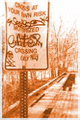 crossing-the-border-week-crossing.gif