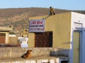 beautiful-bundi-lake-view-guesthouse-bundi.jpg