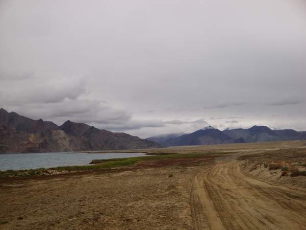 DSC09829.jpg