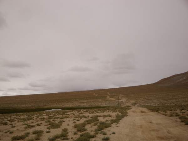 DSC09855.jpg