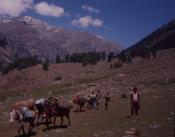 the-valley-recalled-kashmir-3-valley_3.jpg