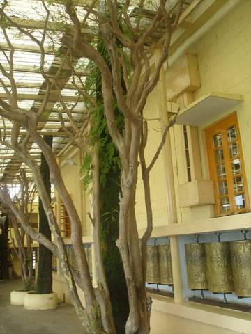 Temple 2.jpg