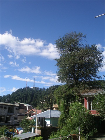 P9170445.JPG
