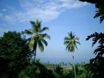 kovalam-cimg0258.jpg