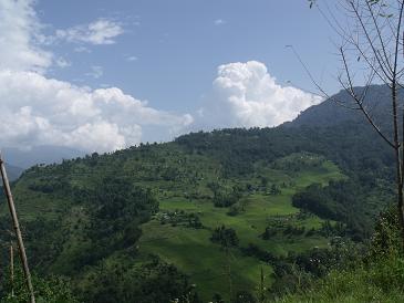Pelling_5.JPG