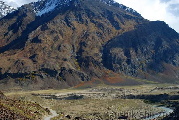Name: DSC_0491.jpg
Views: 2032
Size: 43.2 KB