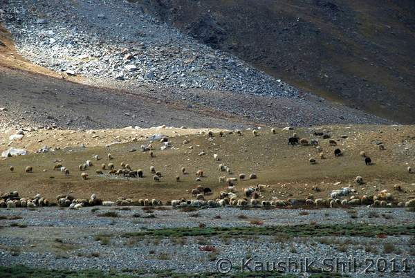 Name: DSC_0875.jpg
Views: 1858
Size: 54.8 KB