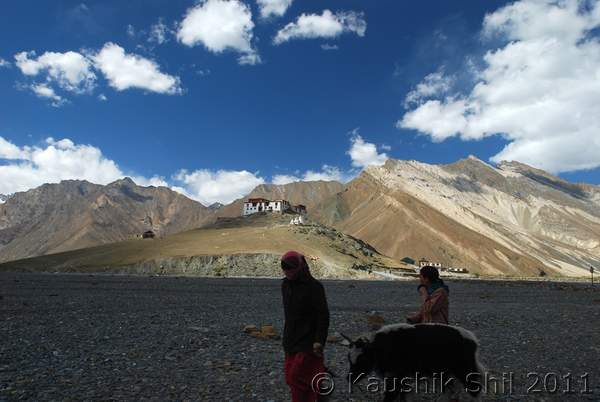 Name: DSC_0879.jpg
Views: 1842
Size: 31.2 KB