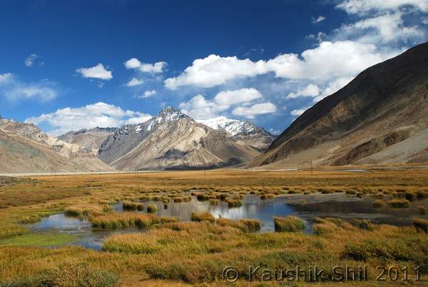Name: DSC_0885.jpg
Views: 1849
Size: 37.4 KB