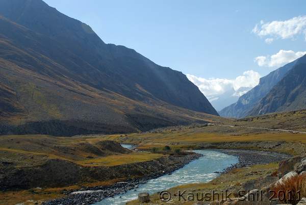 Name:  DSC_0891.jpg
Views: 1841
Size:  29.2 KB
