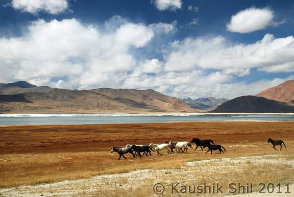 Name: DSC_30183.jpg
Views: 746
Size: 33.9 KB