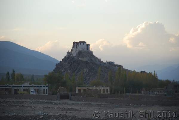 Name: DSC_30288.jpg
Views: 732
Size: 16.6 KB
