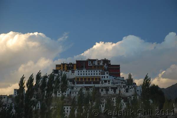Name:  DSC_30295.jpg
Views: 746
Size:  21.0 KB