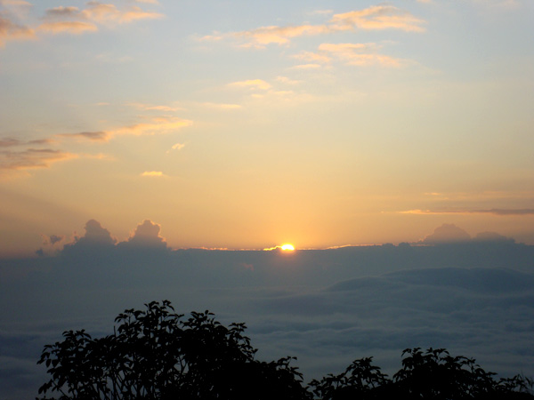 DSC02790.jpg