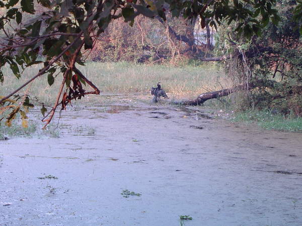 Dsc00638.jpg