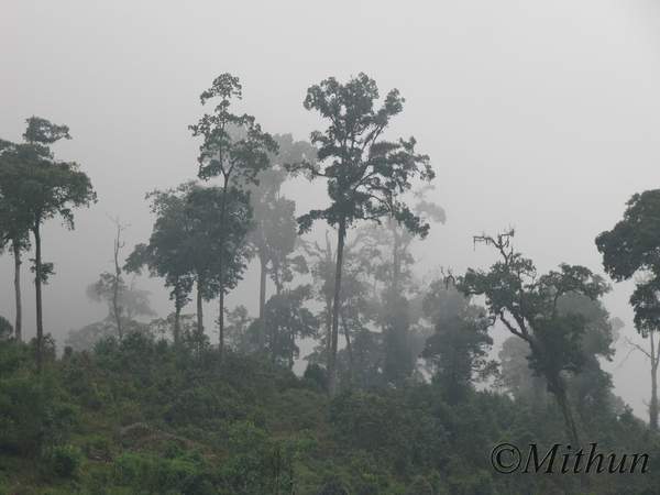 Name: IMG_0489.jpg
Views: 2392
Size: 26.3 KB