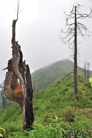 Name: sikkim-day2-081.jpg
Views: 2373
Size: 25.4 KB