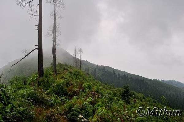 Name: sikkim-day2-092.jpg
Views: 2378
Size: 27.7 KB