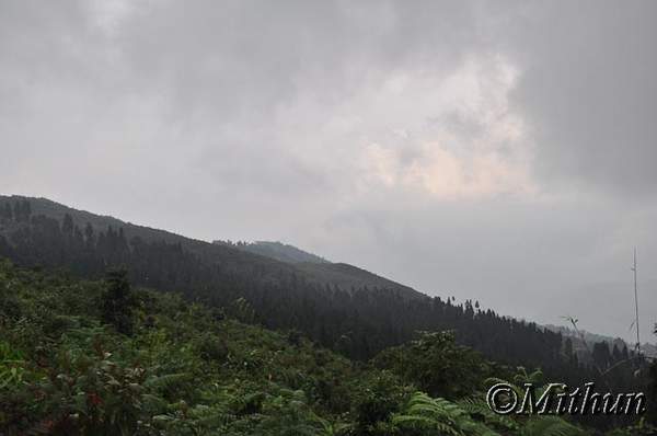 Name:  sikkim-day2-093.jpg
Views: 2365
Size:  18.1 KB