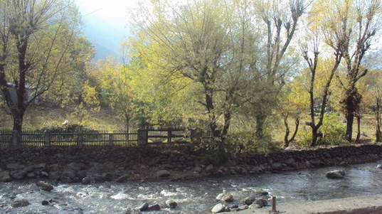 Name:  DSC02741.jpg
Views: 472
Size:  34.6 KB