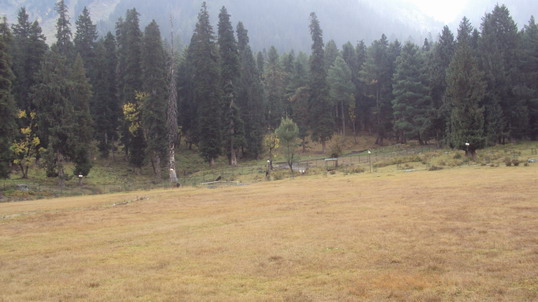 Name: DSC02784.JPG
Views: 481
Size: 68.3 KB
