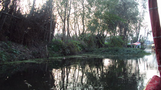 Name:  DSC02957.JPG
Views: 393
Size:  94.9 KB