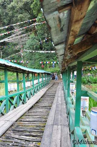 Name:  sikkim-day7-037.jpg
Views: 390
Size:  36.9 KB