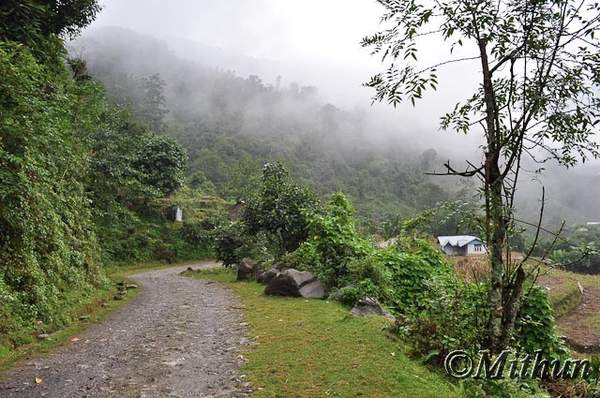 Name:  sikkim-day8-046.jpg
Views: 372
Size:  54.0 KB