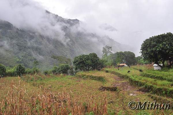 Name:  sikkim-day8-048.jpg
Views: 361
Size:  36.8 KB