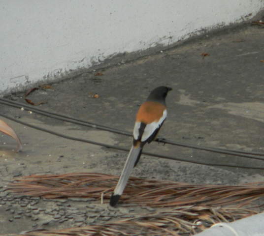 DSCN3421.jpg