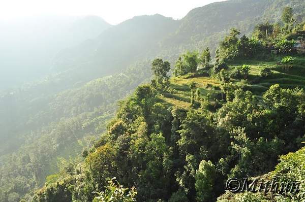 Name:  sikkim-day10-011.jpg
Views: 518
Size:  42.2 KB
