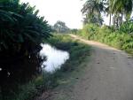 hampi-everything-you-want-to-know-road-along-canal.jpg