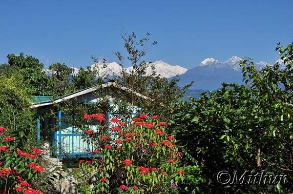 Name:  sikkim-day10-032.jpg
Views: 539
Size:  55.0 KB